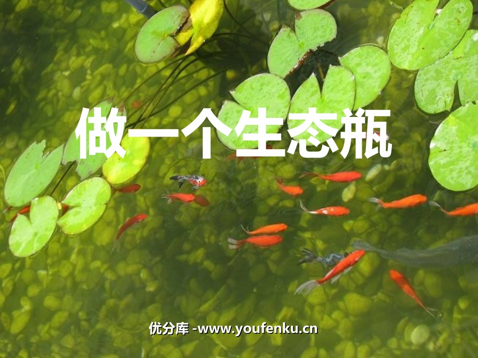 《做一个生态瓶》生物与环境PPT课件[教科版五年级科学上册]_第1页