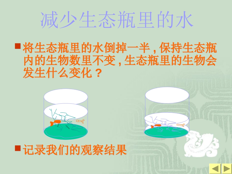 《改变生态瓶》生物与环境PPT课件[教科版五年级科学上册]_第3页