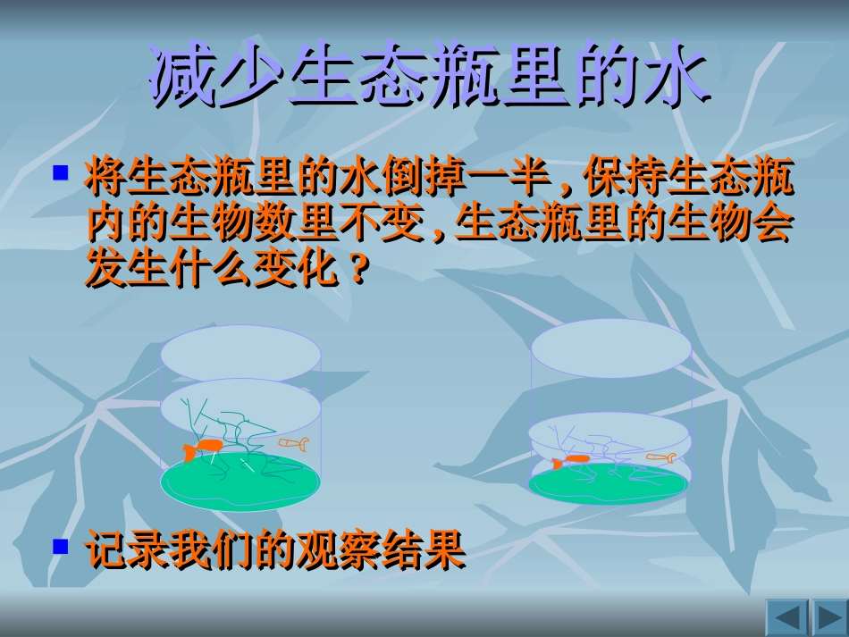 《改变生态瓶》生物与环境PPT课件[教科版五年级科学上册]_第3页
