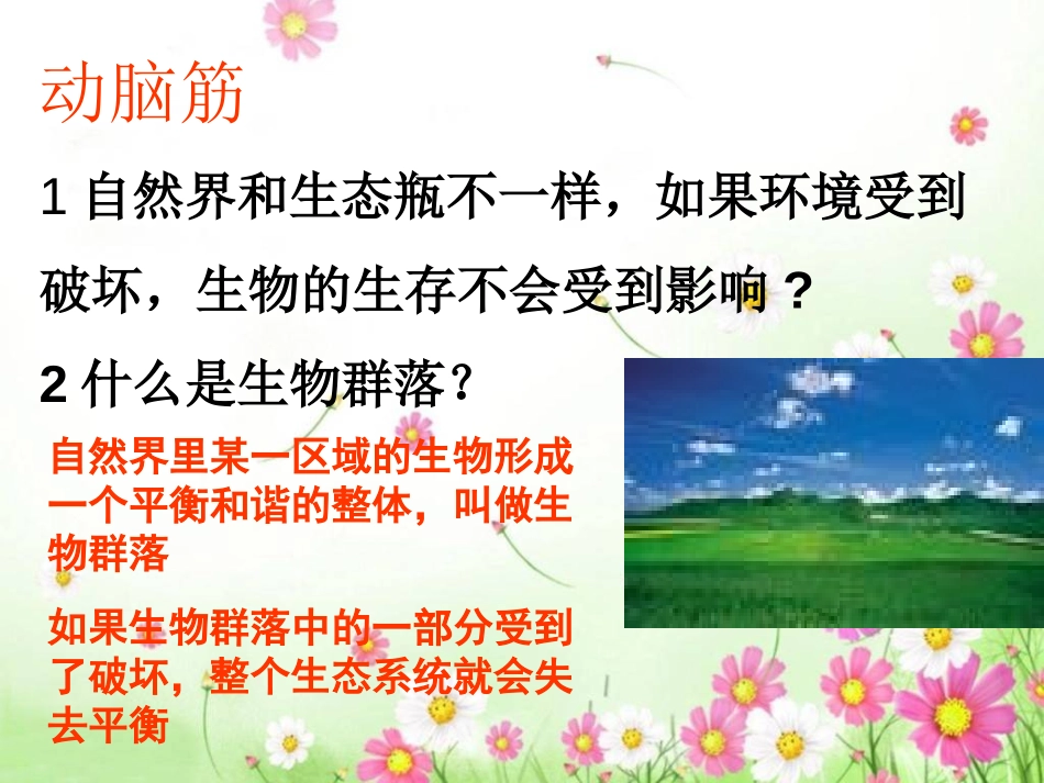 《维护生态平衡》生物与环境PPT课件[教科版五年级科学上册]_第2页