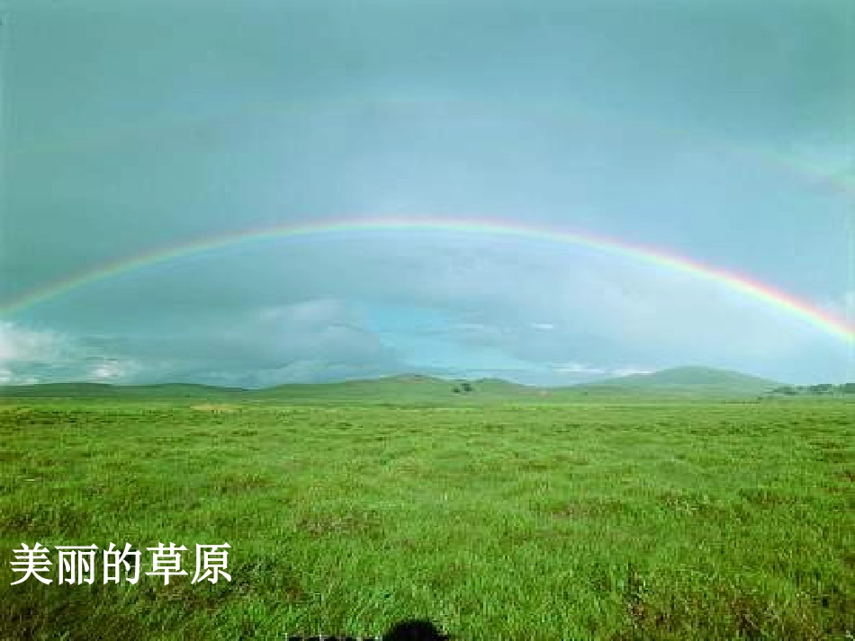 《维护生态平衡》生物与环境PPT课件[教科版五年级科学上册]_第3页