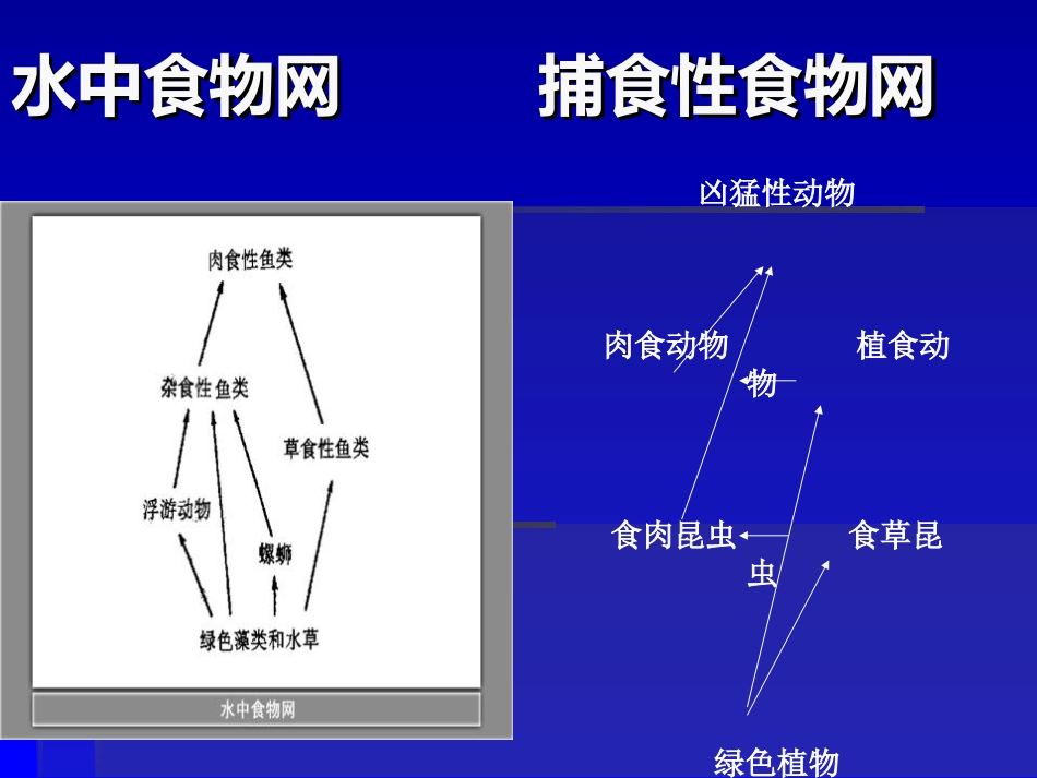 《维护生态平衡》生物与环境PPT课件[教科版五年级科学上册]_第3页