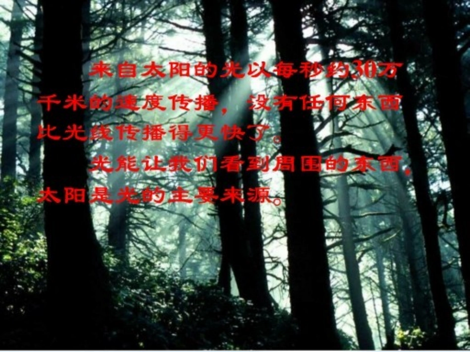 《阳光下的影子》光PPT课件[教科版五年级科学上册]_第2页