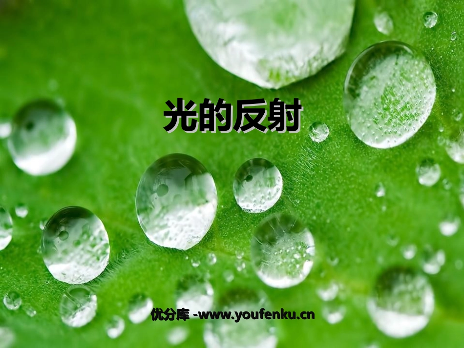 《光的反射》光PPT课件[教科版五年级科学上册]_第1页