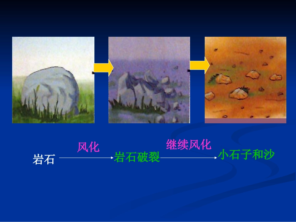 《土壤中有什么》地球表面及其变化PPT课件[教科版五年级科学]_第3页