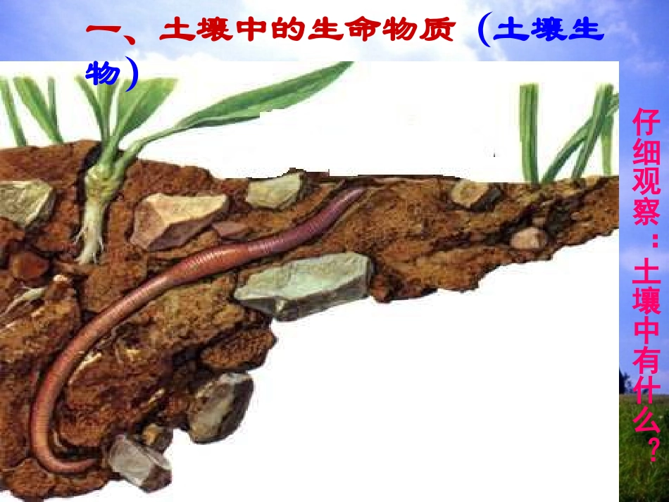 《土壤中有什么》地球表面及其变化PPT课件[教科版五年级科学]_第2页