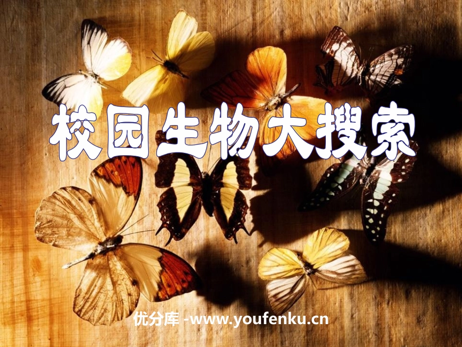 《校园生物大搜索》生物的多样性PPT课件[教科版六年级科学]_第1页