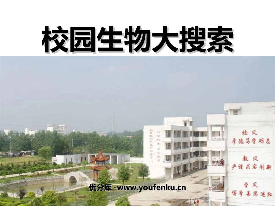 《校园生物大搜索》生物的多样性PPT课件[教科版六年级科学]_第1页