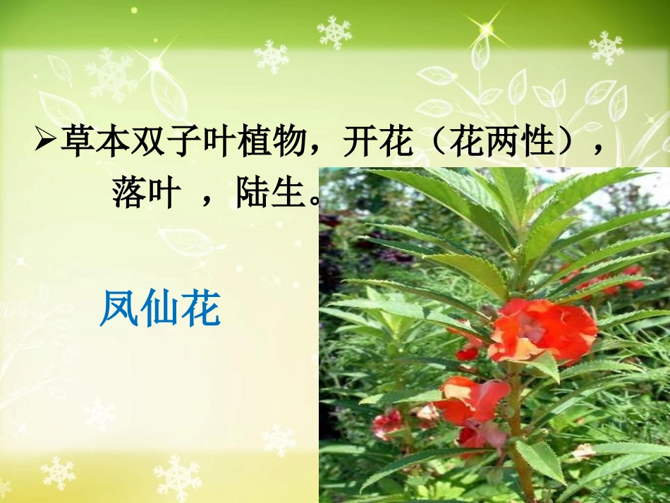 《多种多样的植物》生物的多样性PPT课件[教科版六年级科学]_第3页