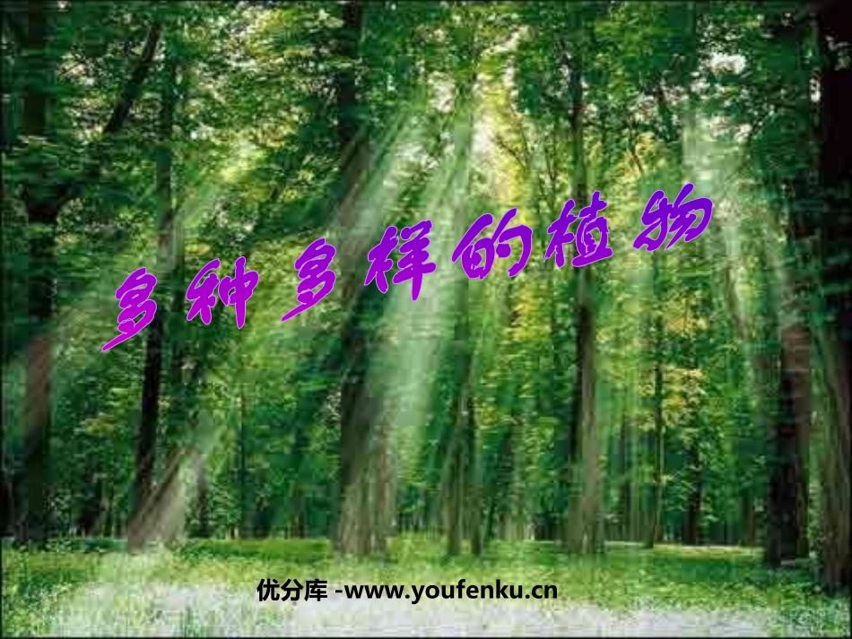 《多种多样的植物》生物的多样性PPT课件[教科版六年级科学]_第1页