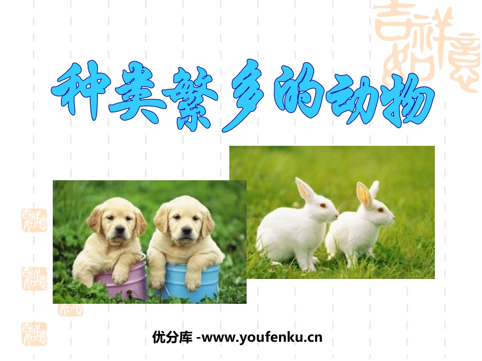 《种类繁多的动物》生物的多样性PPT课件[教科版六年级科学]_第1页