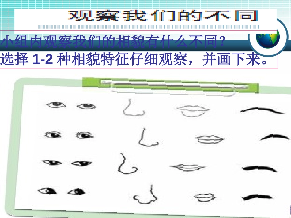 《相貌各异的我们》生物的多样性PPT课件[教科版六年级科学]_第3页
