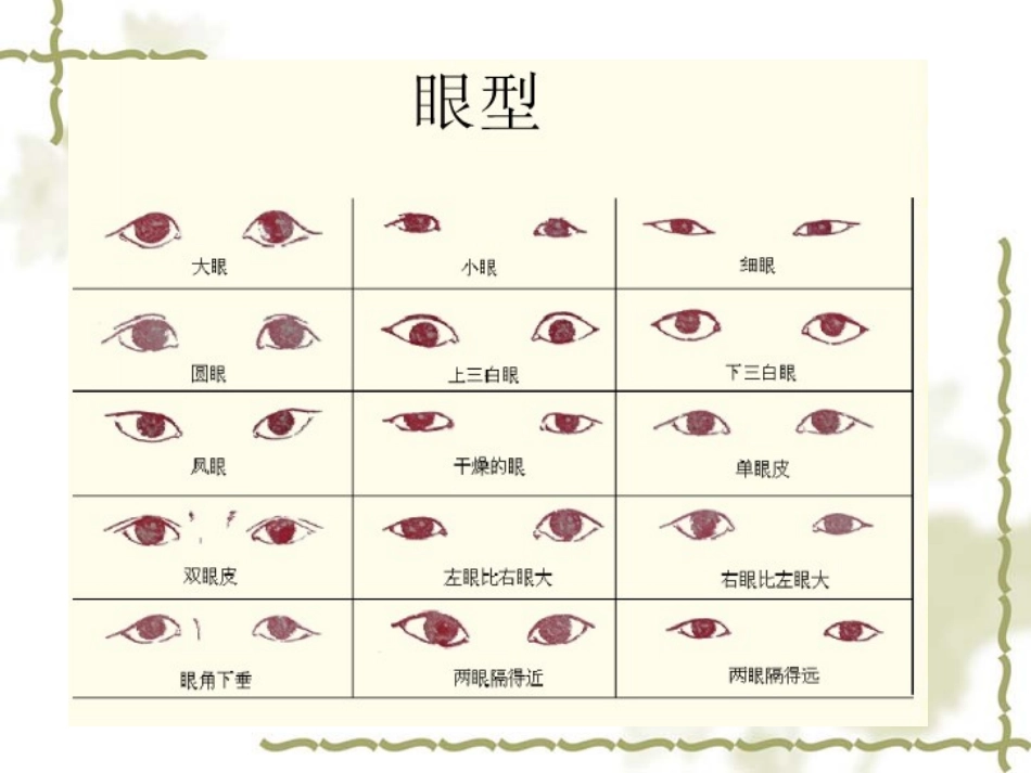 《相貌各异的我们》生物的多样性PPT课件[教科版六年级科学]_第3页