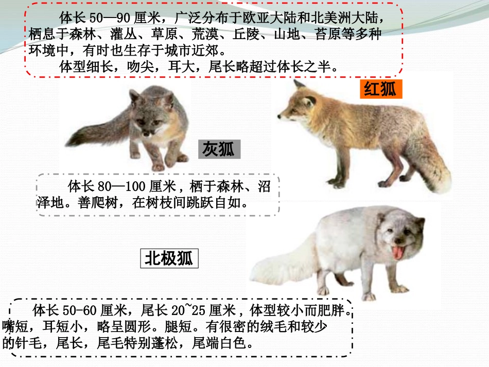 《谁选择了它们》生物的多样性PPT课件[教科版六年级科学]_第3页