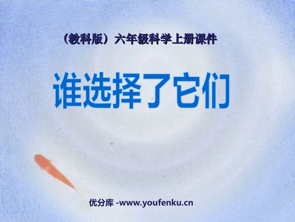 《谁选择了它们》生物的多样性PPT课件[教科版六年级科学]_第1页