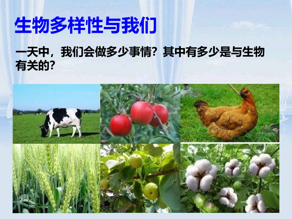 《生物多样性的意义》生物的多样性PPT课件[教科版六年级科学]_第3页