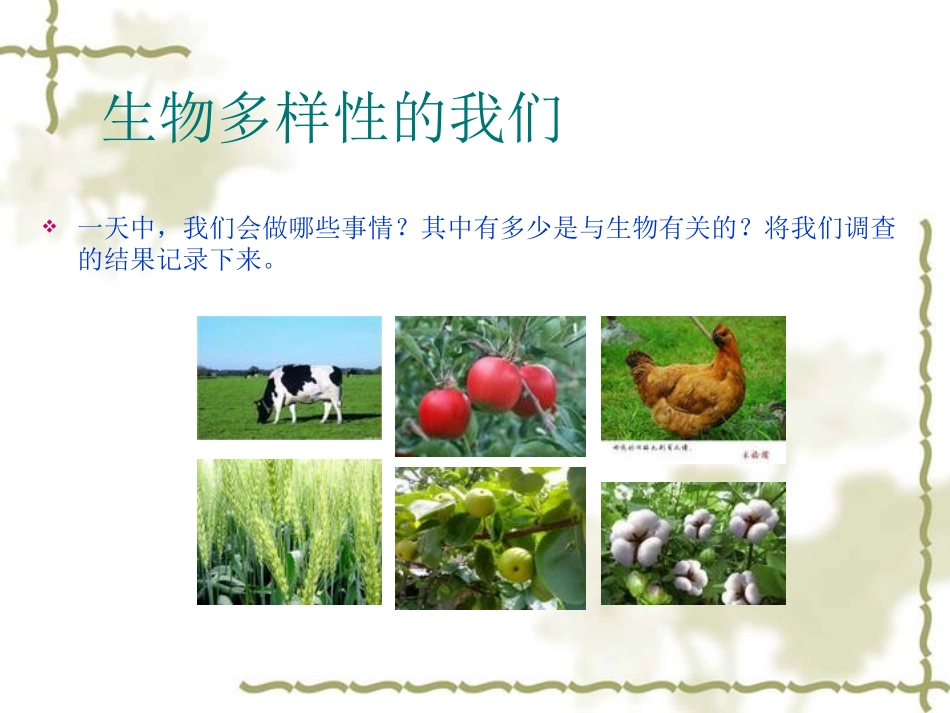 《生物多样性的意义》生物的多样性PPT课件[教科版六年级科学]_第2页