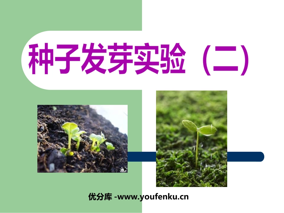 《种子发芽实验(二)》生物与环境PPT课件[教科版五年级科学]_第1页