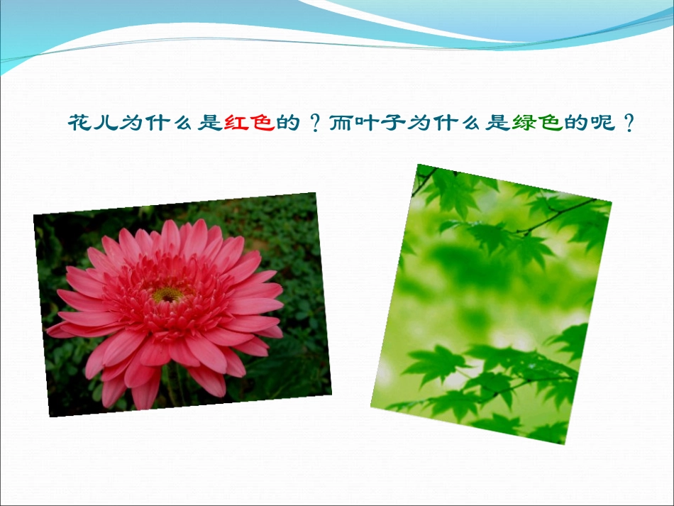 《光的色散》光现象PPT课件[人教版八年级物理上册]_第3页