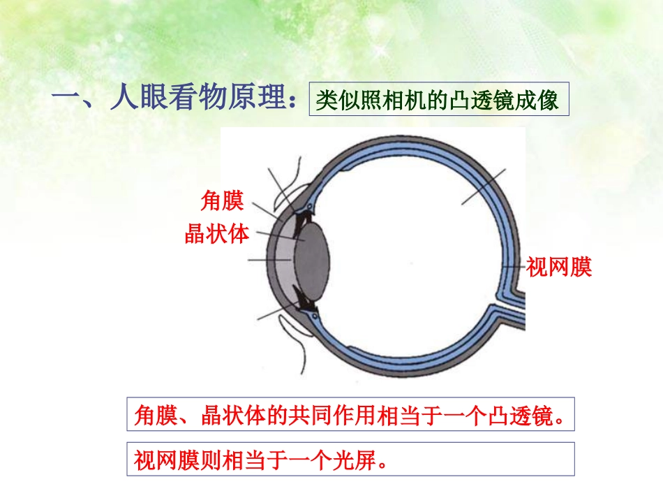 《眼睛和眼镜》透镜及其应用PPT课件[人教版八年级物理上册]_第2页