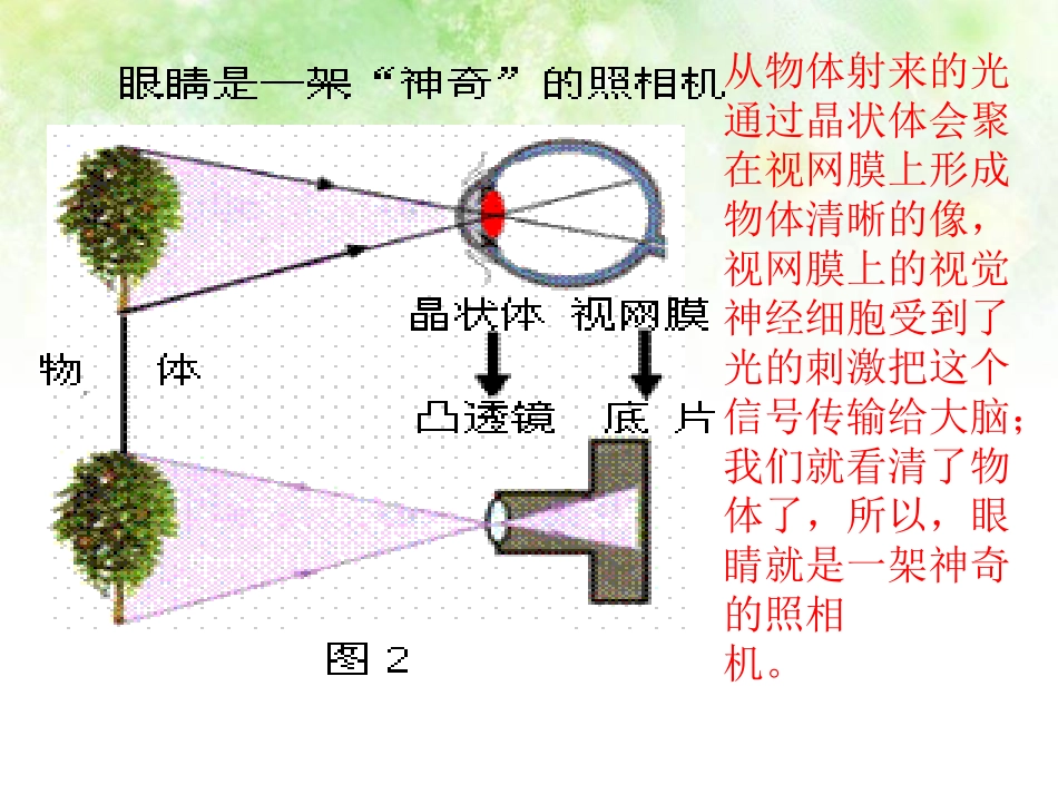 《眼睛和眼镜》透镜及其应用PPT课件[人教版八年级物理上册]_第3页