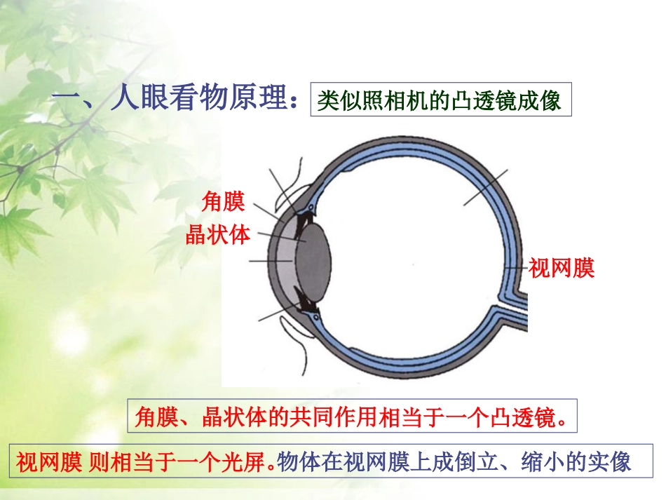 《眼睛和眼镜》透镜及其应用PPT课件[人教版八年级物理上册]_第1页