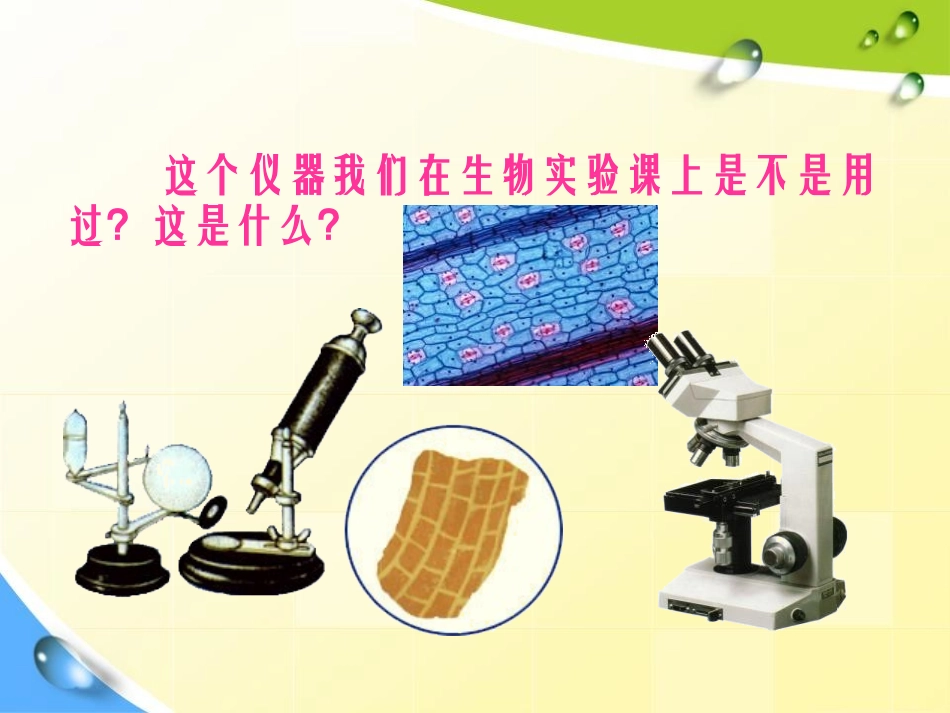 《显微镜和望远镜》透镜及其应用PPT课件[人教版八年级物理]_第3页