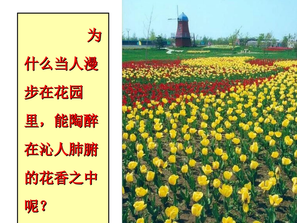 《分子和原子》物质构成的奥秘PPT课件[人教版九年级化学]_第3页