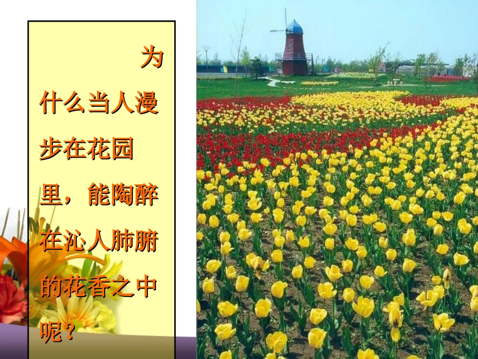 《分子和原子》物质构成的奥秘PPT课件[人教版九年级化学]_第3页