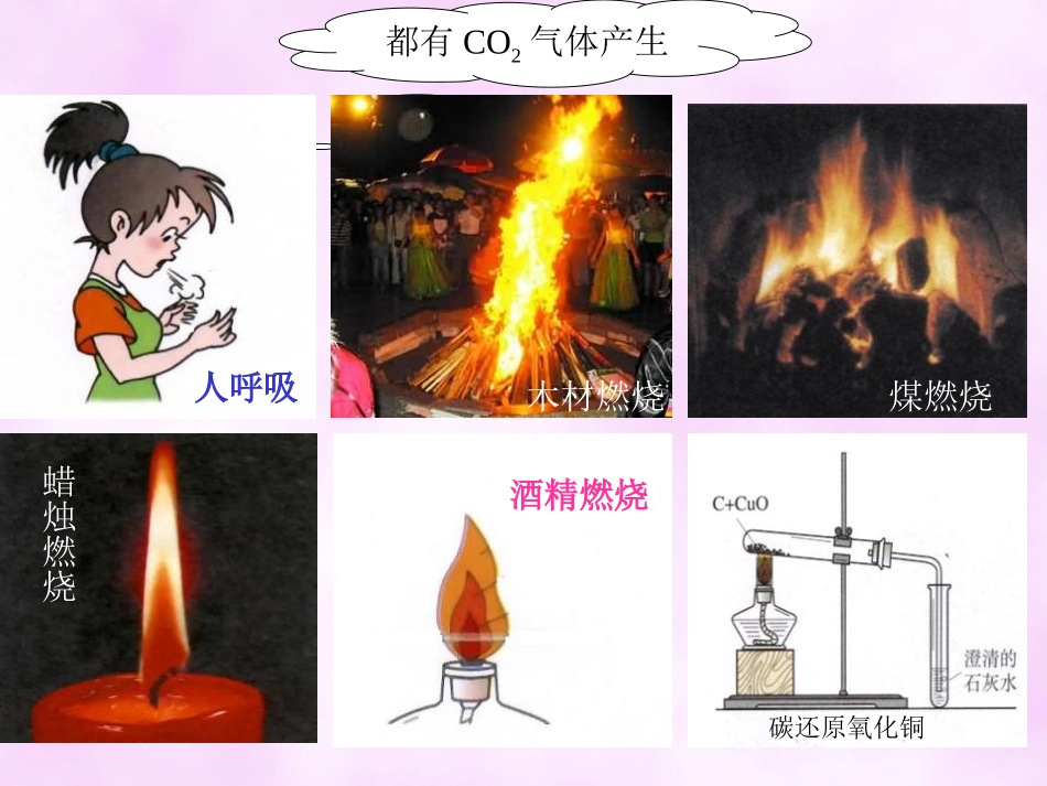 《二氧化碳制取的研究》碳和碳的氧化物PPT课件[人教版九年级化学]_第2页