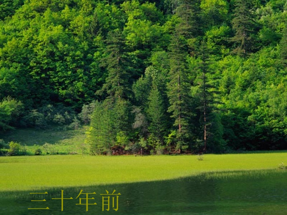 《燃料的合理利用与开发》燃料及其利用PPT课件[人教版九年级化学]_第2页