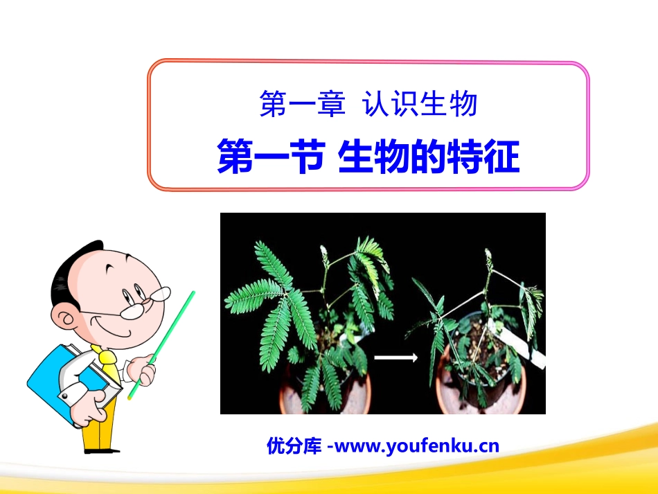 《生物的特征》认识生物PPT课件[人教版七年级生物上册]_第1页