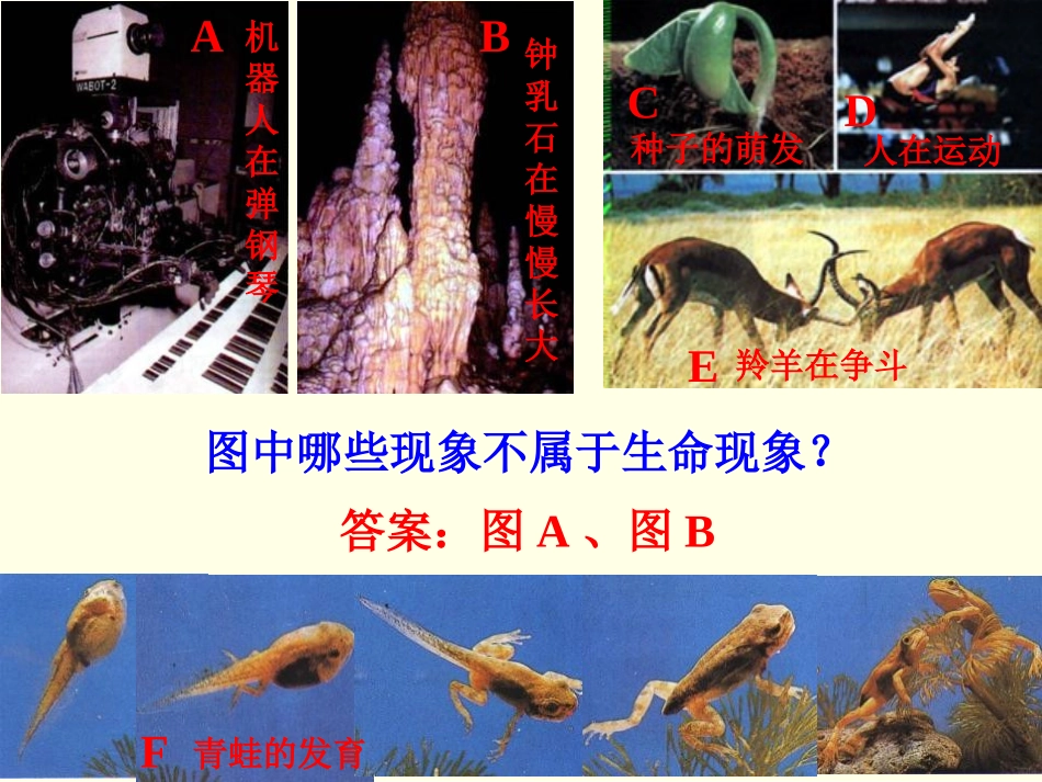 《生物与环境的关系》了解生物圈PPT课件[人教版七年级生物]_第2页