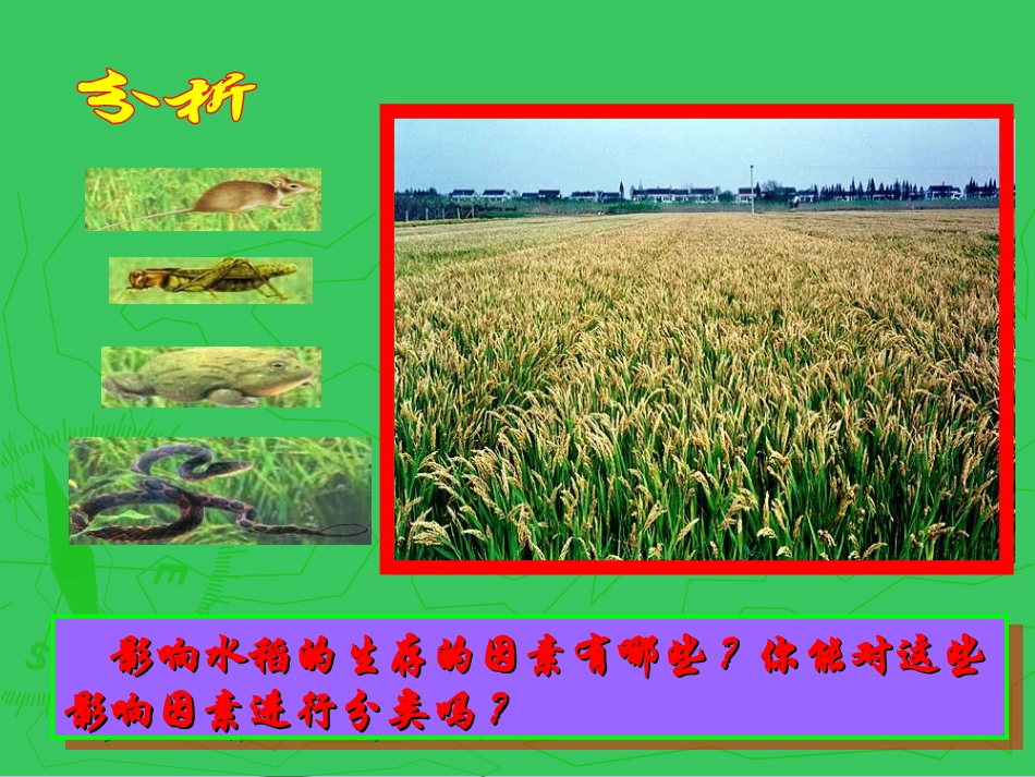 《生物与环境的关系》了解生物圈PPT课件[人教版七年级生物]_第3页