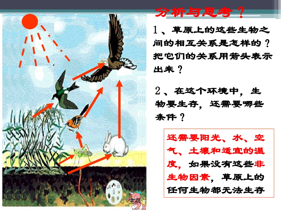 《生物与环境组成生态系统》了解生物圈PPT课件[人教版七年级生物]_第3页