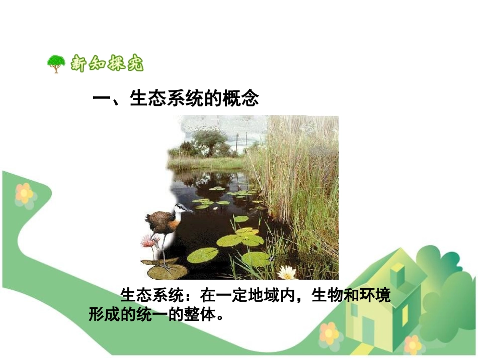 《生物与环境组成生态系统》了解生物圈PPT课件[人教版七年级生物]_第3页