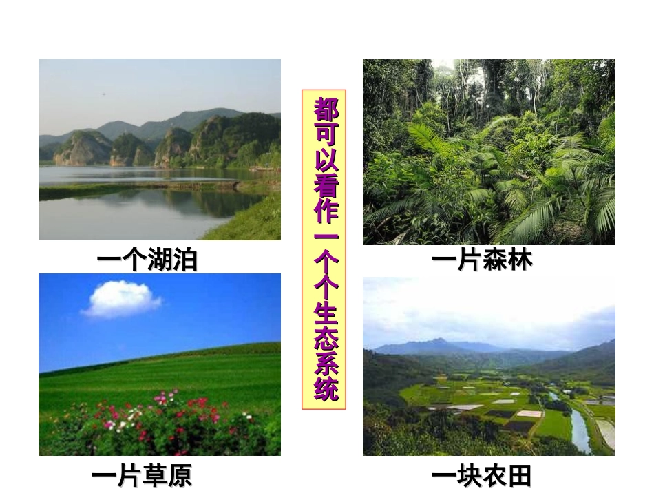 《生物与环境组成生态系统》了解生物圈PPT课件[人教版七年级生物]_第3页
