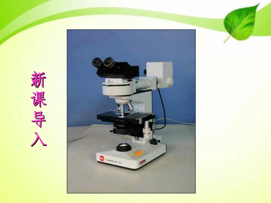 《练习使用显微镜》细胞是生命活动的基本单位PPT课件_第2页