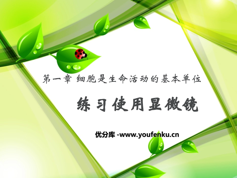 《练习使用显微镜》细胞是生命活动的基本单位PPT课件_第1页