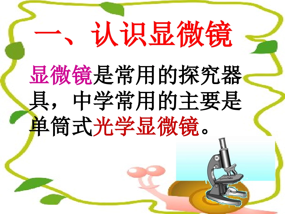 《练习使用显微镜》细胞是生命活动的基本单位PPT课件_第2页