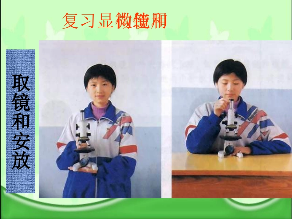 《植物细胞》细胞是生命活动的基本单位PPT课件[人教版七年级生物]_第2页