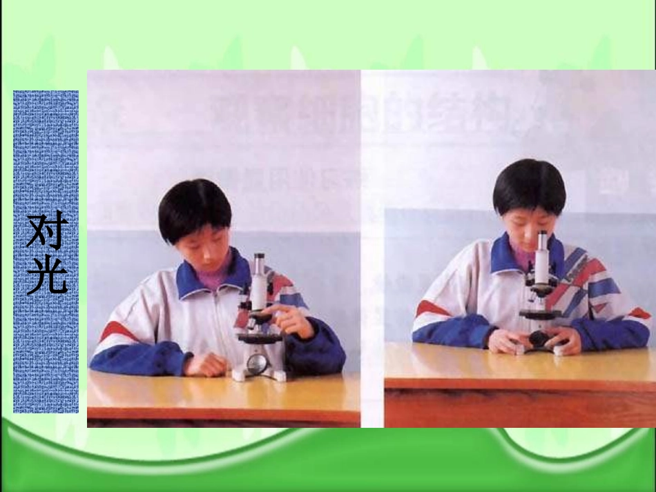 《植物细胞》细胞是生命活动的基本单位PPT课件[人教版七年级生物]_第3页
