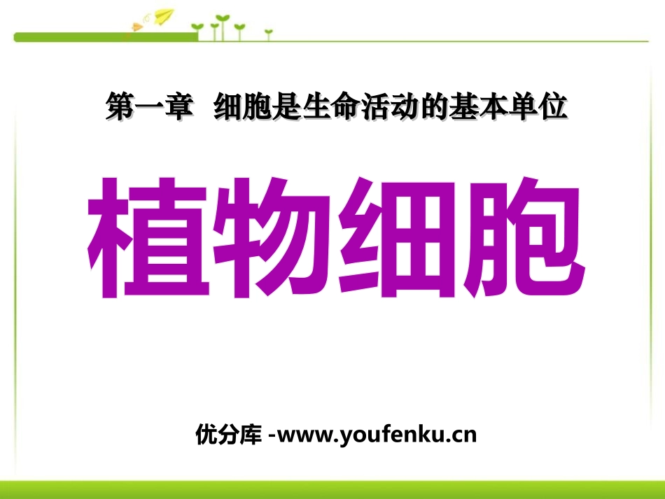 《植物细胞》细胞是生命活动的基本单位PPT课件[人教版七年级生物]_第1页