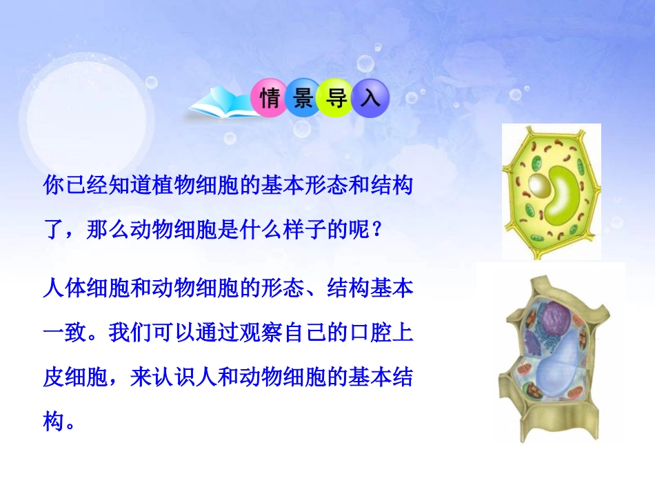 《动物细胞》细胞是生命活动的基本单位PPT课件[人教版七年级生物]_第2页