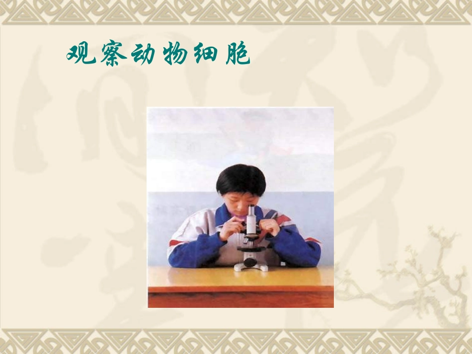 《动物细胞》细胞是生命活动的基本单位PPT课件[人教版七年级生物]_第2页