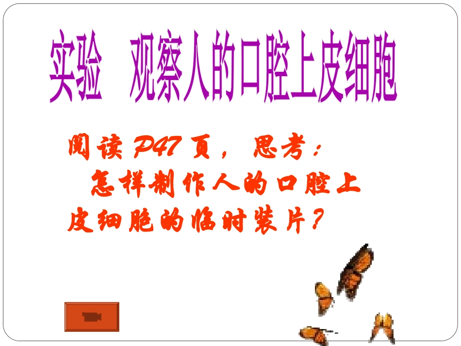 《动物细胞》细胞是生命活动的基本单位PPT课件[人教版七年级生物]_第3页