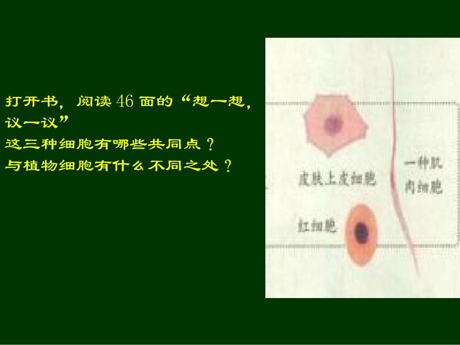 《动物细胞》细胞是生命活动的基本单位PPT课件[人教版七年级生物]_第3页