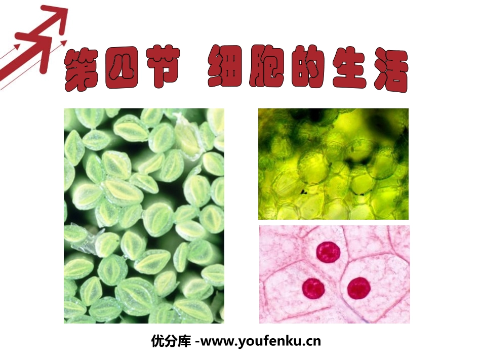 《细胞的生活》细胞是生命活动的基本单位PPT课件_第1页