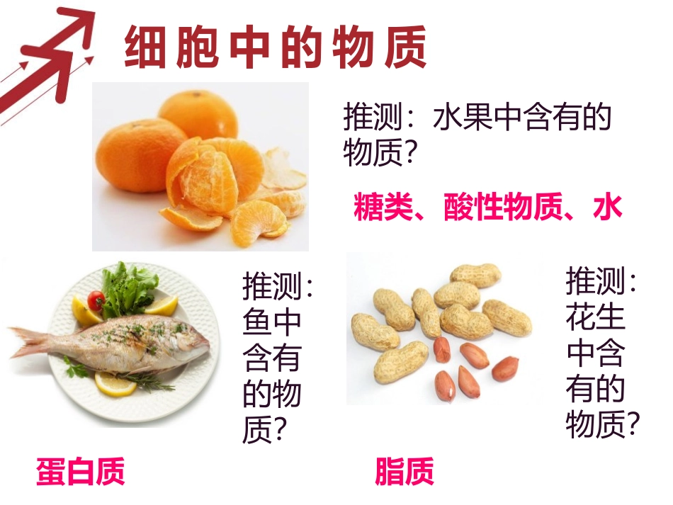 《细胞的生活》细胞是生命活动的基本单位PPT课件_第3页