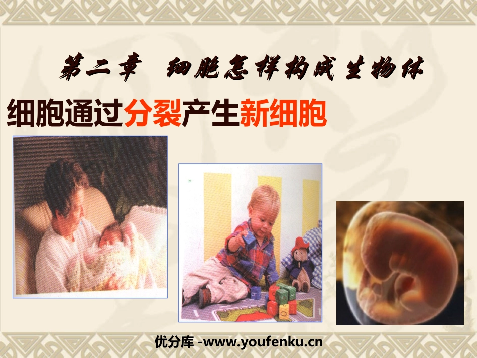 《细胞通过分裂产生新细胞》细胞怎样构成生物体PPT课件_第1页